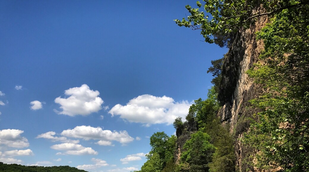 Where Ha Ha Tonka's spring feeds into Lake of the Ozarks. Beautiful day for a hike! #Missouri #SpringFun
#takeahike