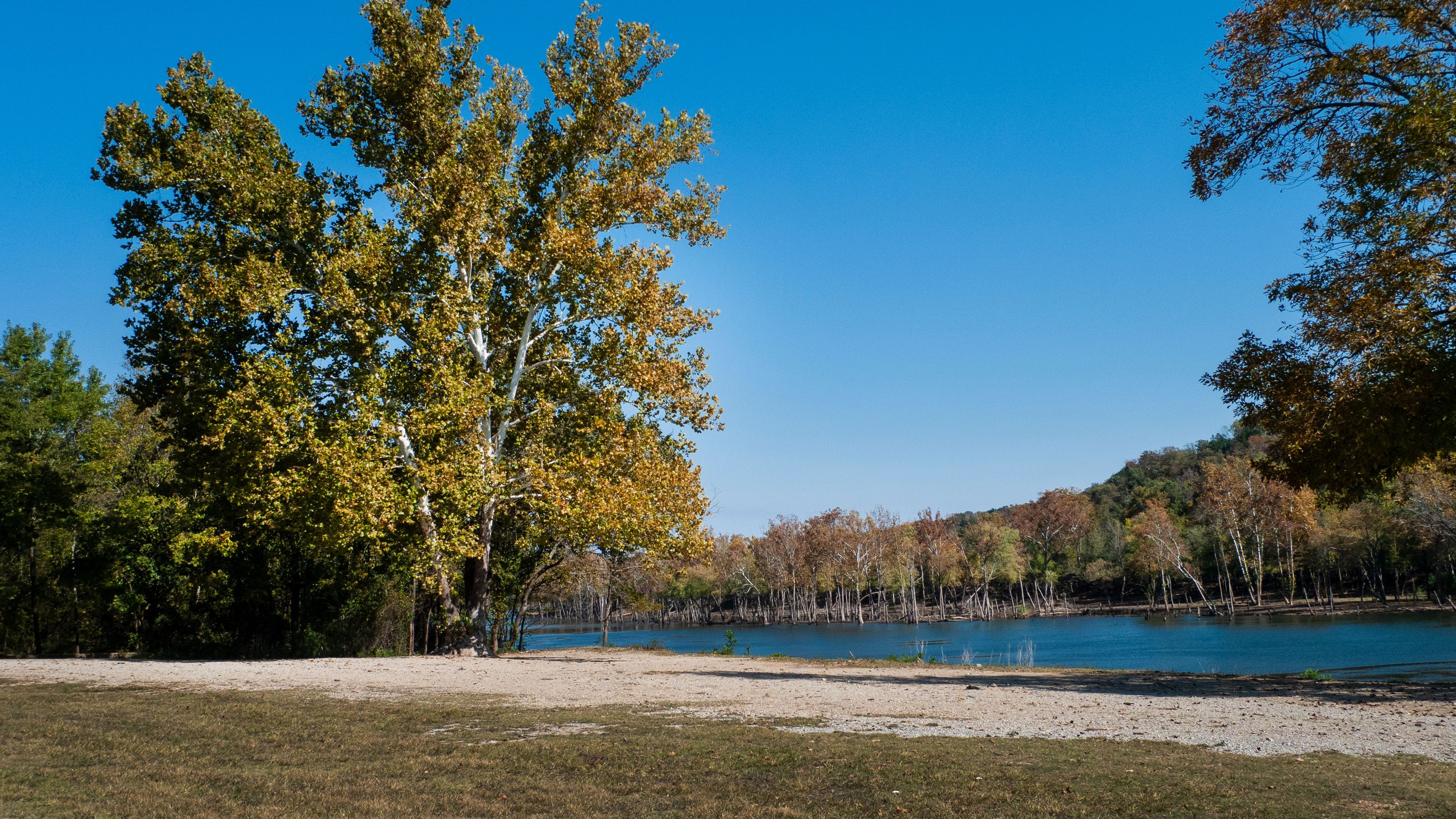 A lake surrounded by trees with autumn foliage, a sandy shore, and a clear blue sky.