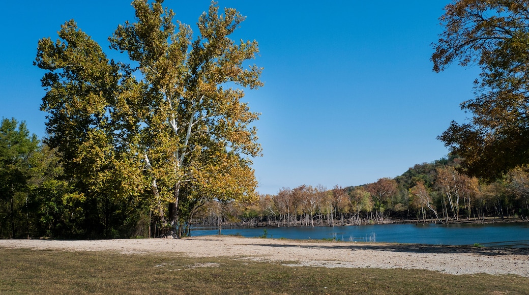 A lake surrounded by trees with autumn foliage, a sandy shore, and a clear blue sky.