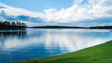 A shot of a man made lake in Mississippi near Wiggins which has been created by damming a river