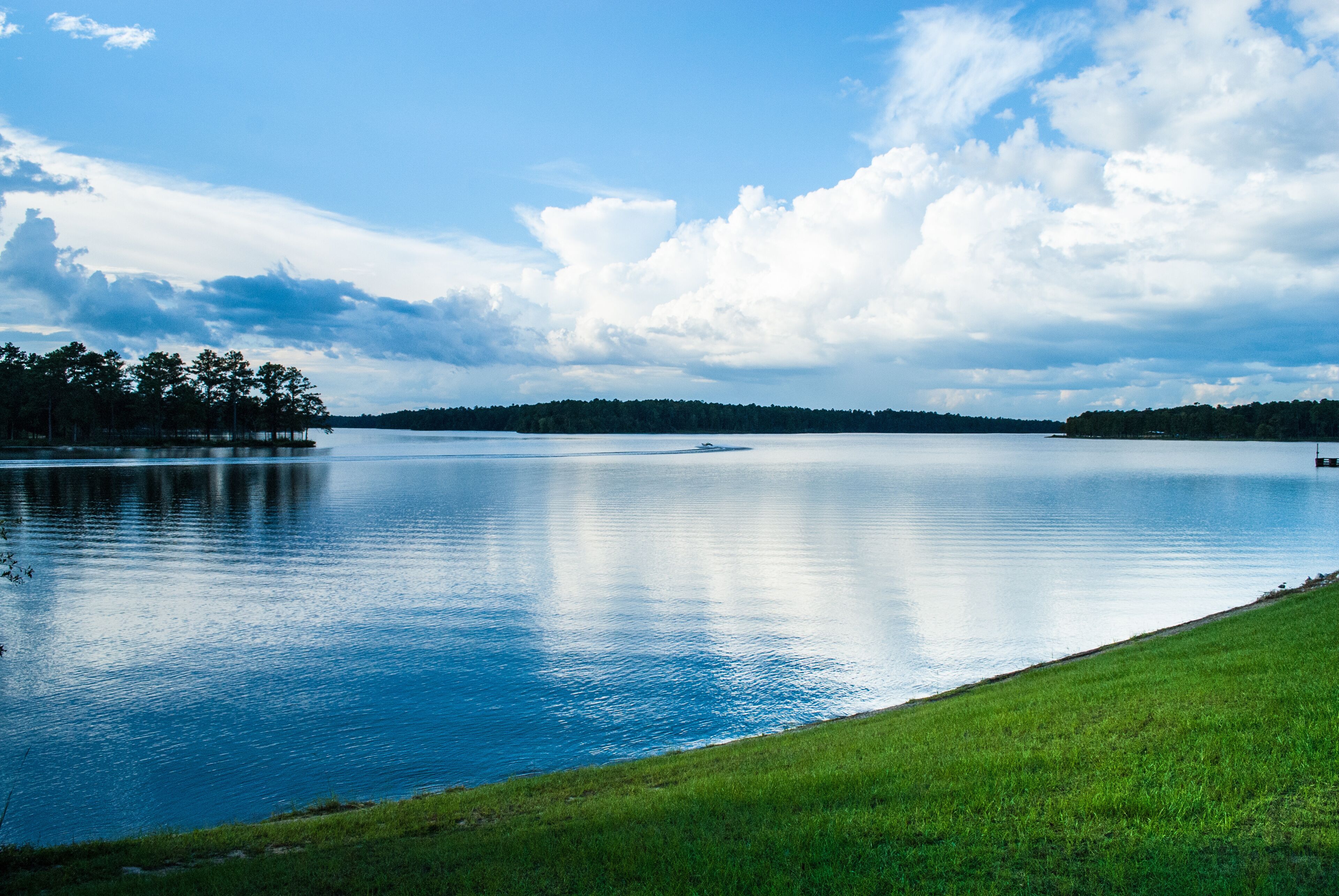 A calm lake with a grassy shoreline and a forested hill in the distance.