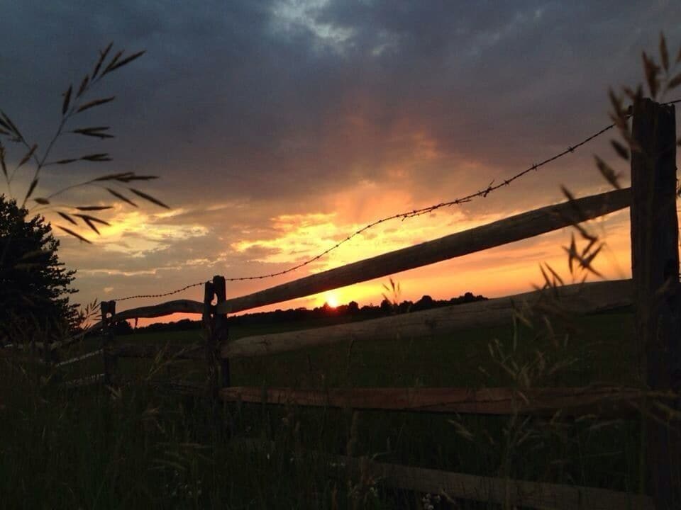 A sunset over a field with a barbed wire fence.