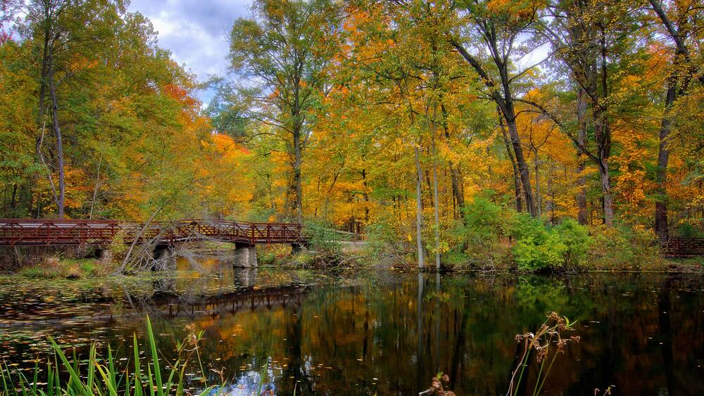Autumn Lake