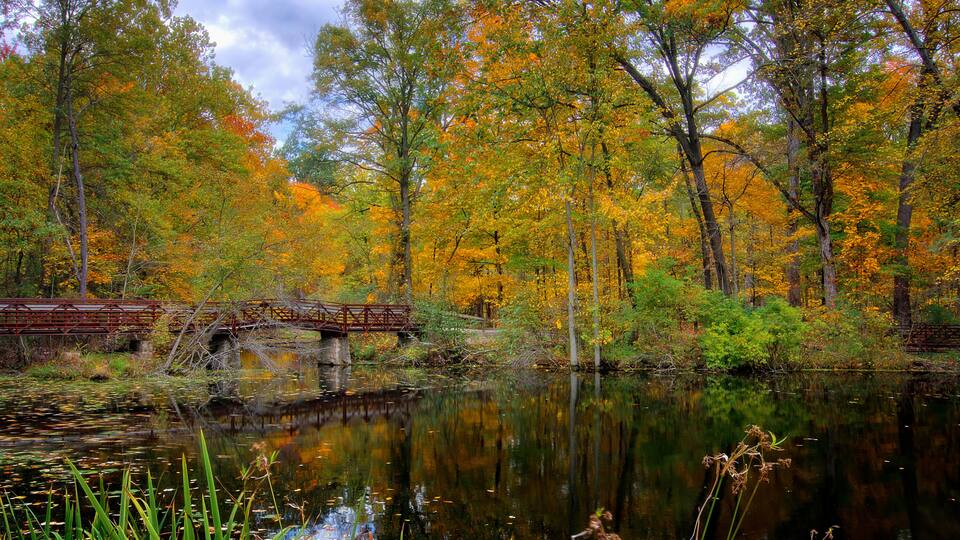 Autumn Lake