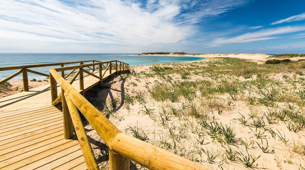 Zahara de los Atunes sandy beach and dunes,Spain