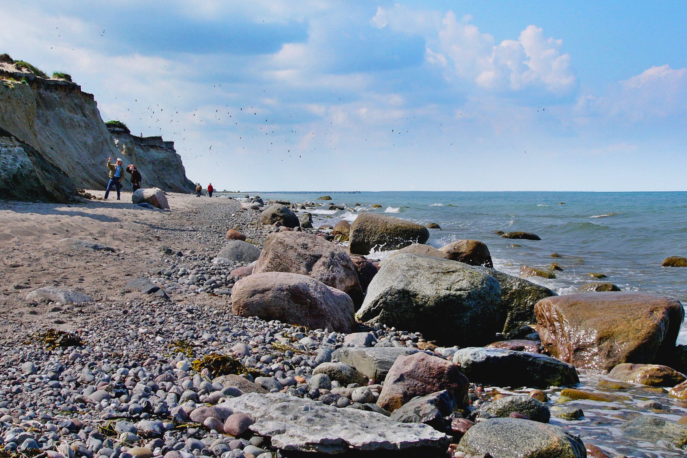 Steep coast near Ahrenshoop, Germany
