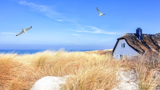 Ostseebad Ahrenshoop