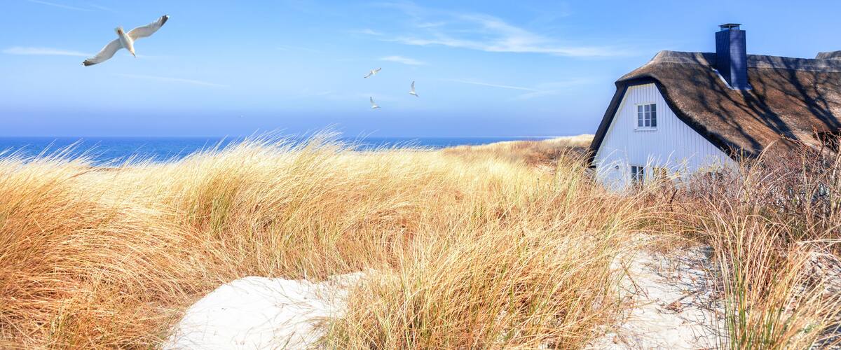 A coastal house with a thatched roof, surrounded by tall grass and dunes, with seagulls flying overhead.