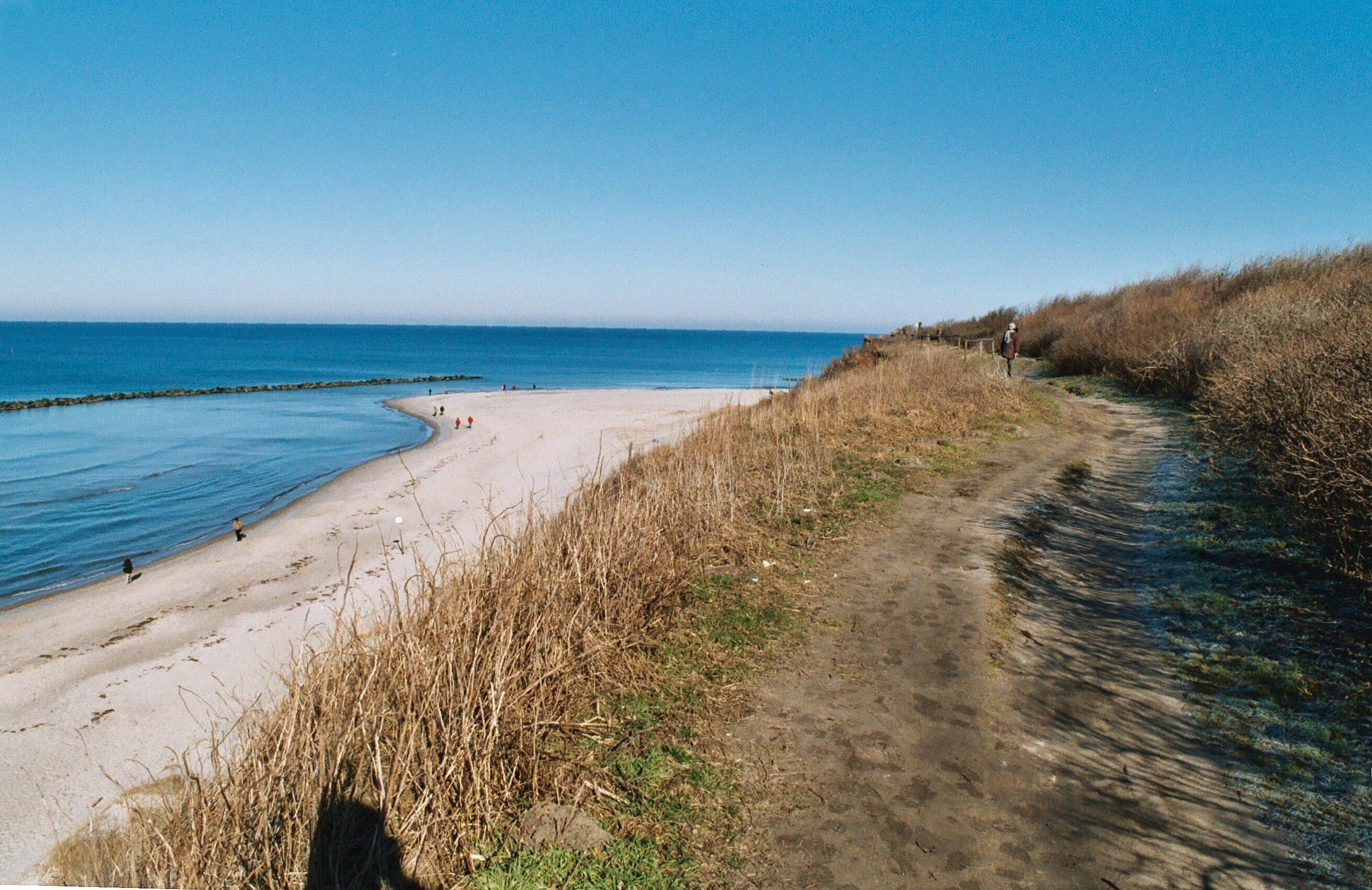 Ahrenshoop, the "Hohes Ufer"