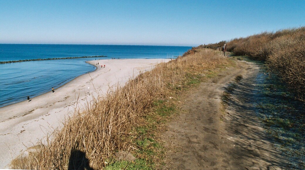 Ahrenshoop, the "Hohes Ufer"