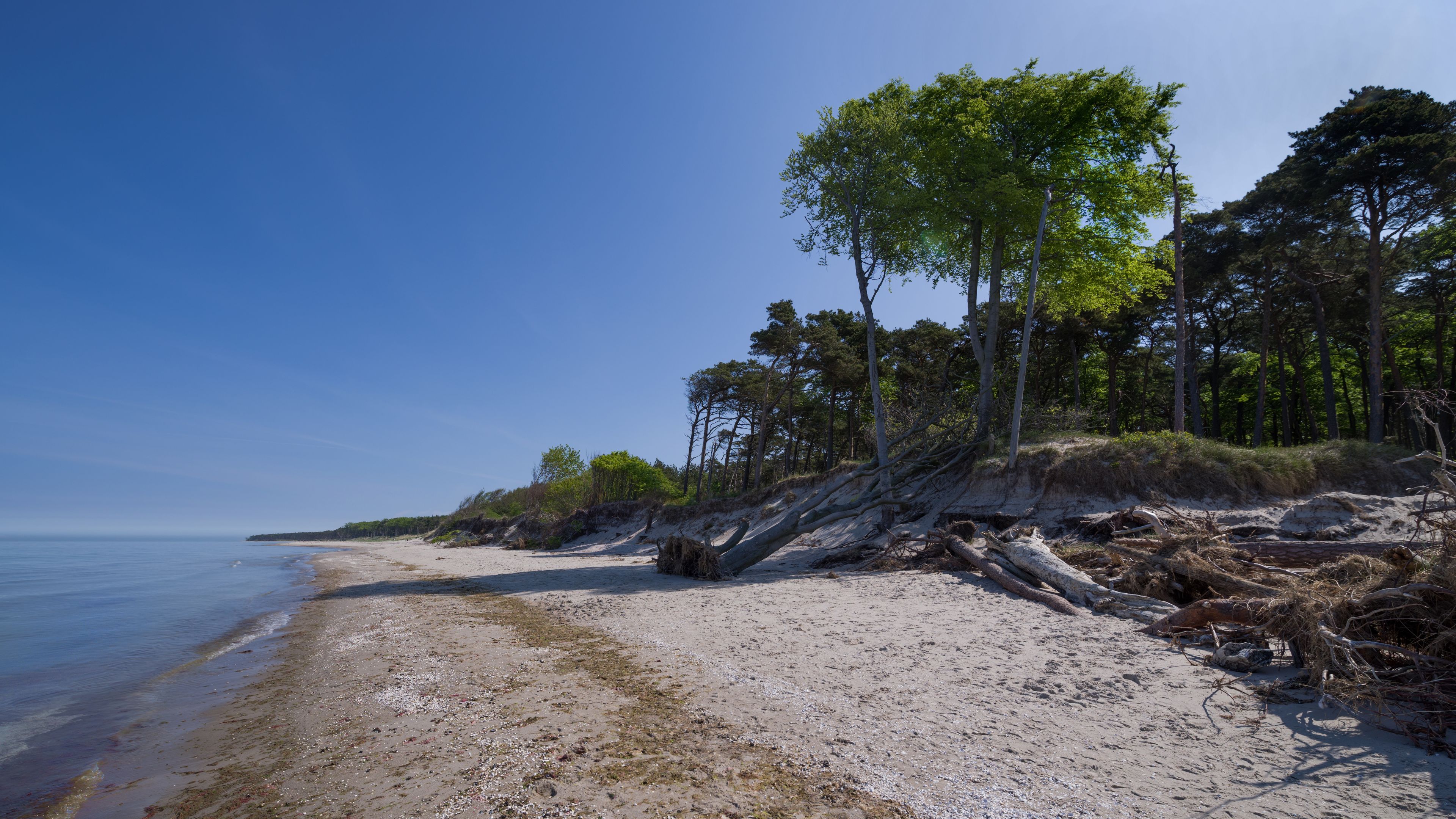 Einsamer Ostsee Strand am Darsswald
