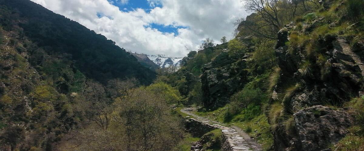 Un sendero montañoso y estrecho rodeado de vegetación exuberante y terreno rocoso.