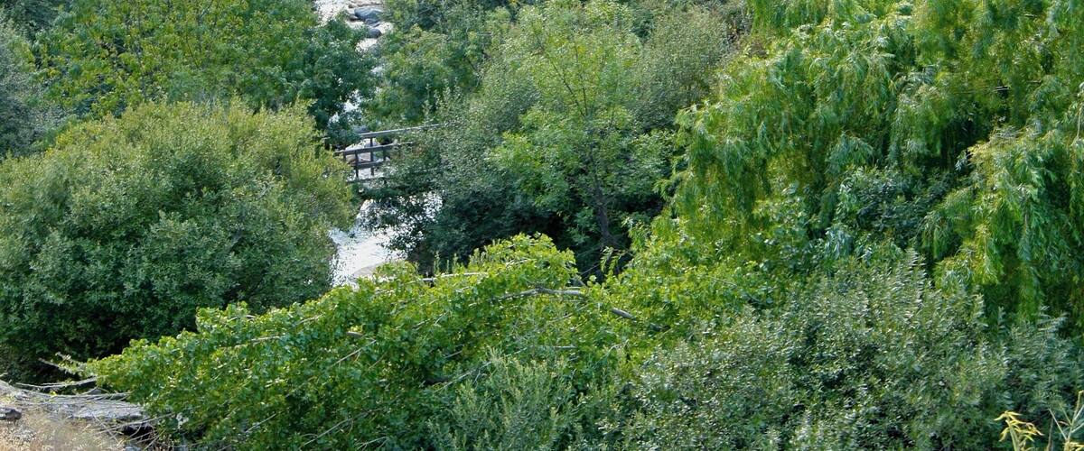 The Rio Genil valley, in Sierra Nevada, province of Granada, Spain.