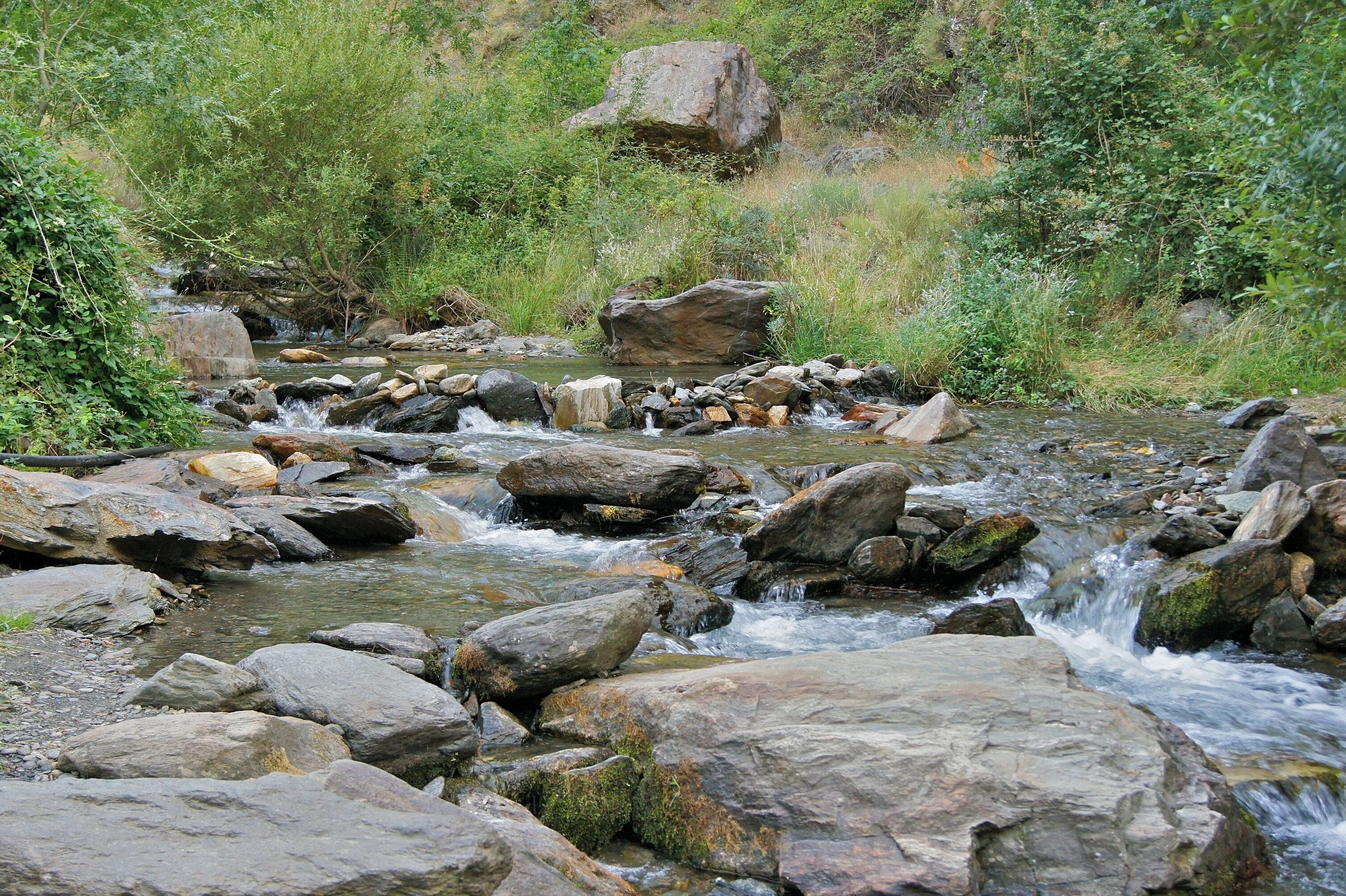 Near the source of the Rio Genil, Sierra Nevada, Andalusia, Spain.
