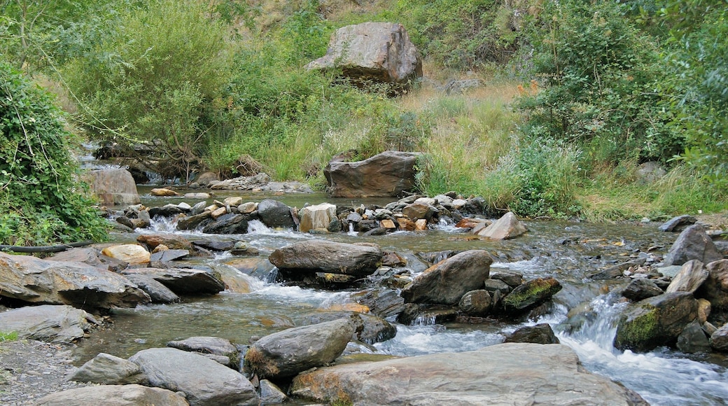 Near the source of the Rio Genil, Sierra Nevada, Andalusia, Spain.
