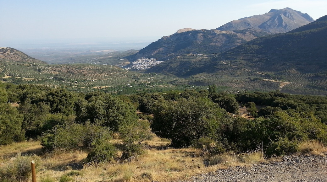 Torres desde la Fuenmayor.