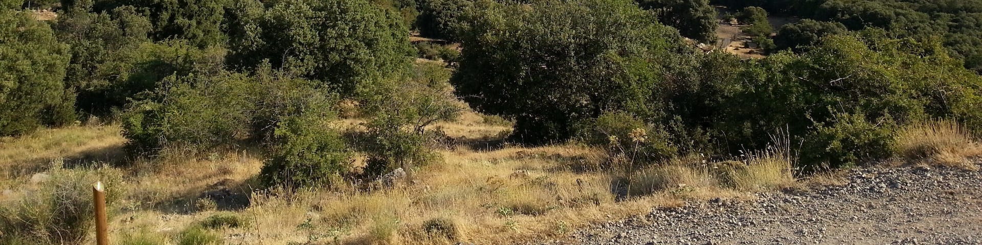 Torres desde la Fuenmayor.