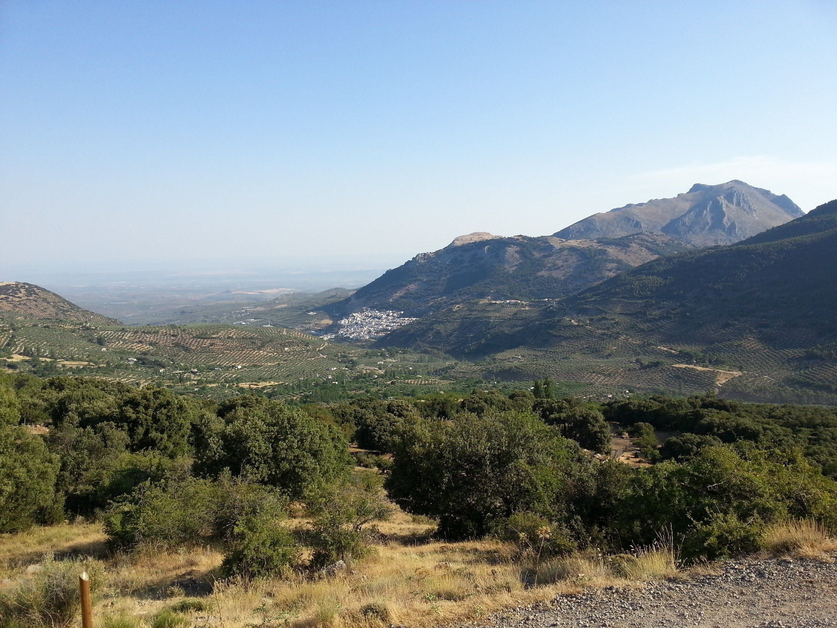 A mountainous landscape with a valley, dense forest, and a small settlement.