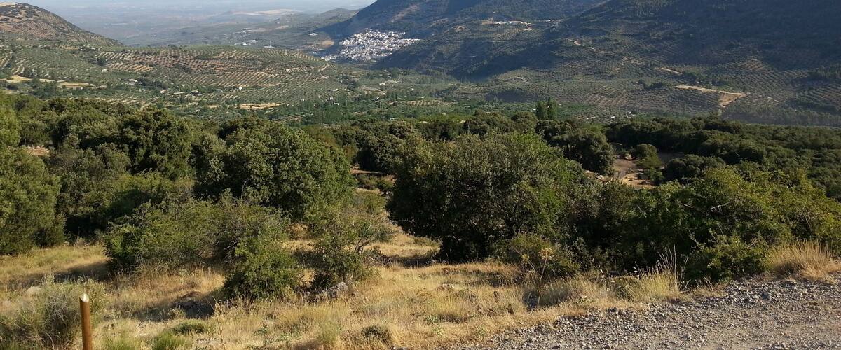 A mountainous landscape with a valley, dense forest, and a small settlement.