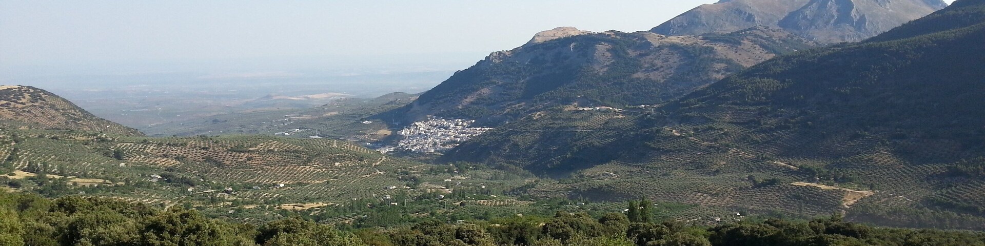 A mountainous landscape with a valley, dense forest, and a small settlement.