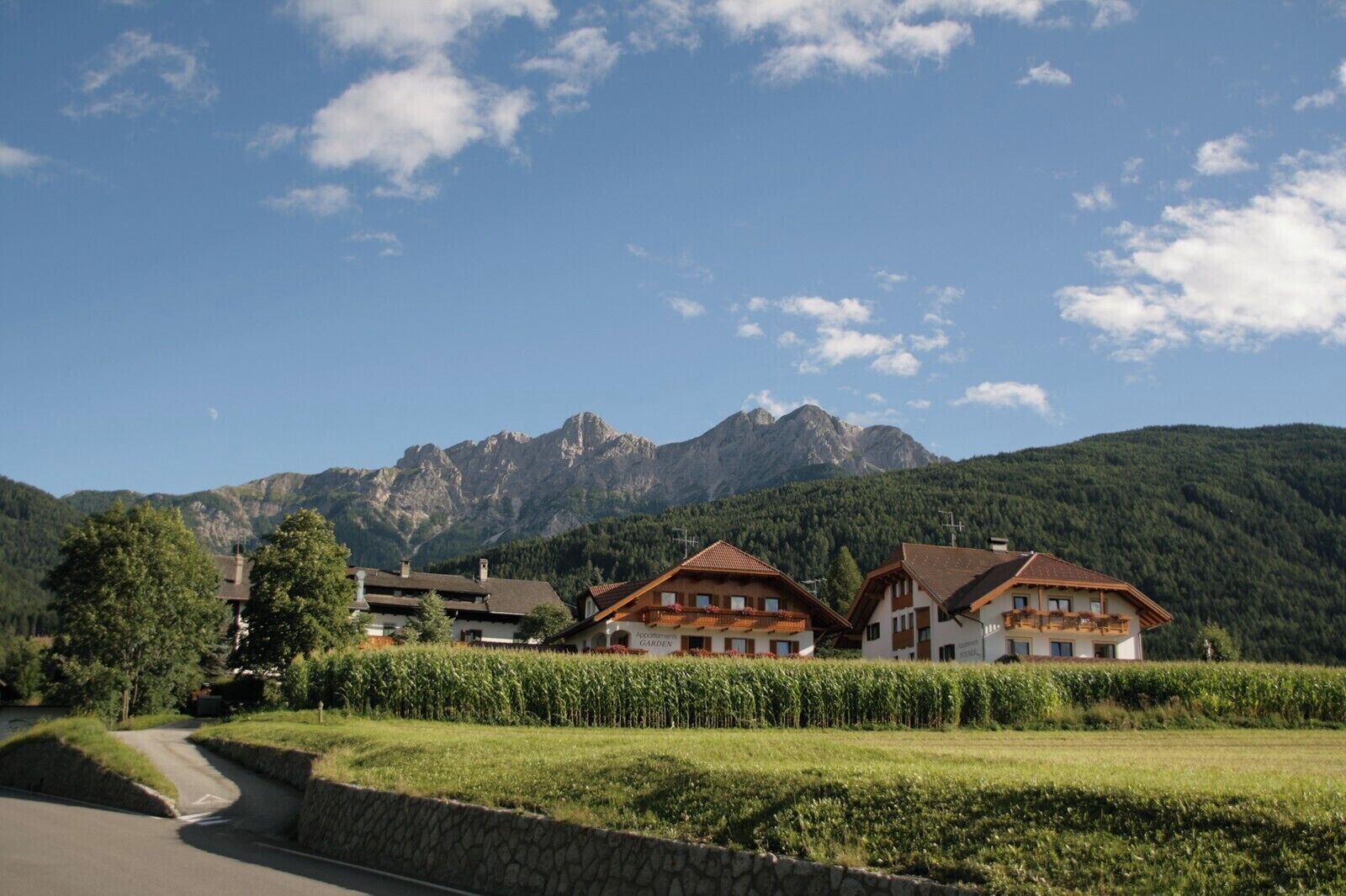 A mountain village with traditional houses, a road, and a vineyard.