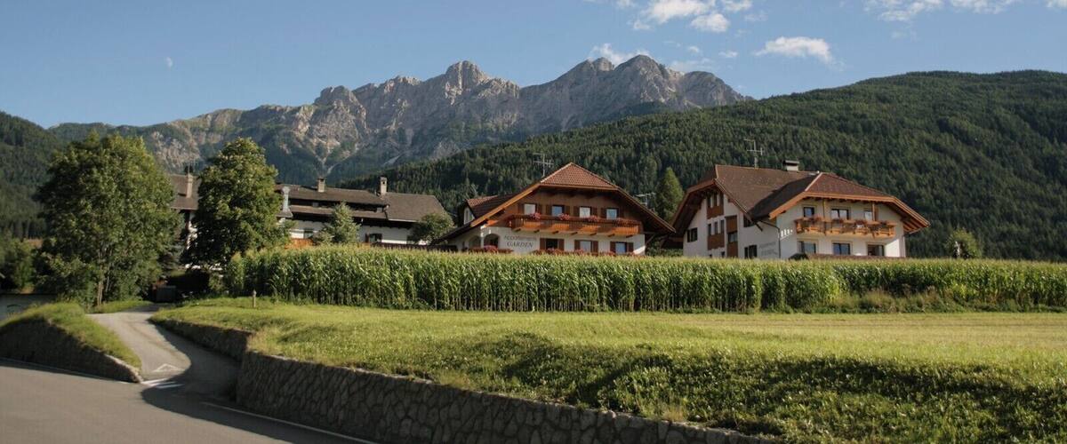 A mountain village with traditional houses, a road, and a vineyard.