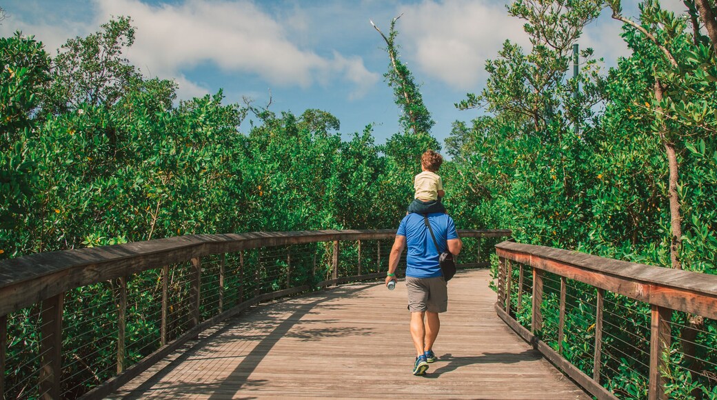 walking down the bridge of Baker park in Naples Florida in southwest Florida public park