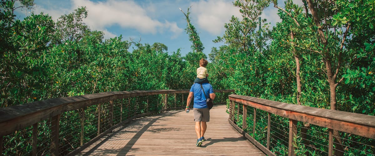 A person walking on a wooden bridge surrounded by dense green foliage.