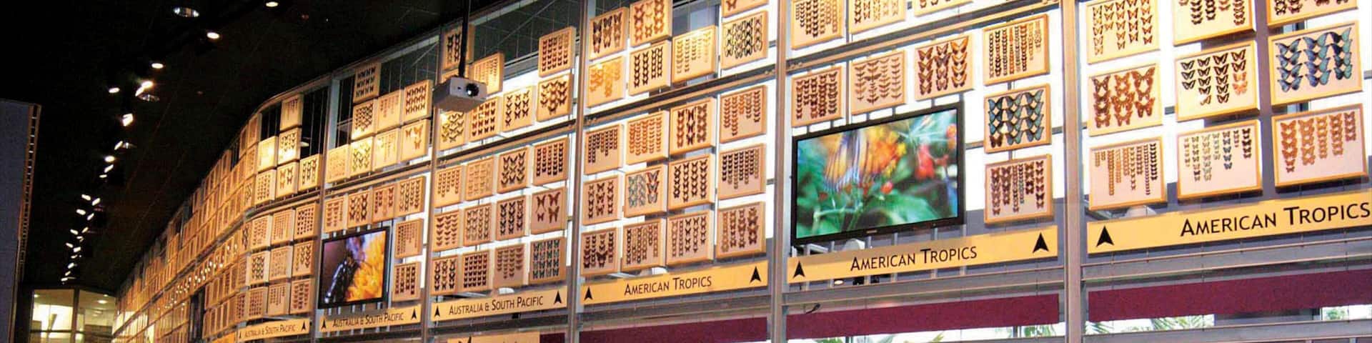 Gainesville mettant en vedette vues intérieures