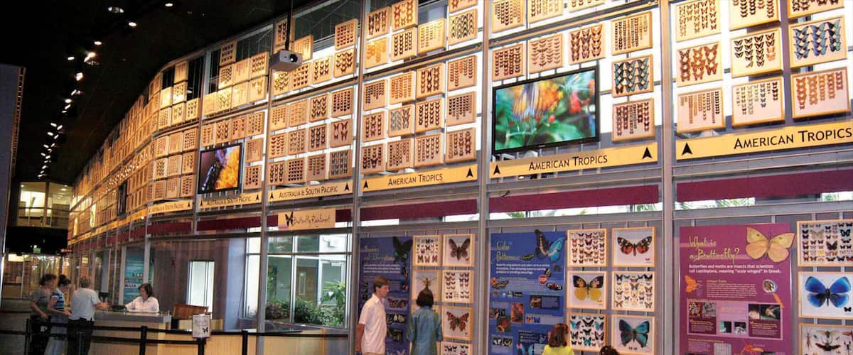 Gainesville which includes interior views