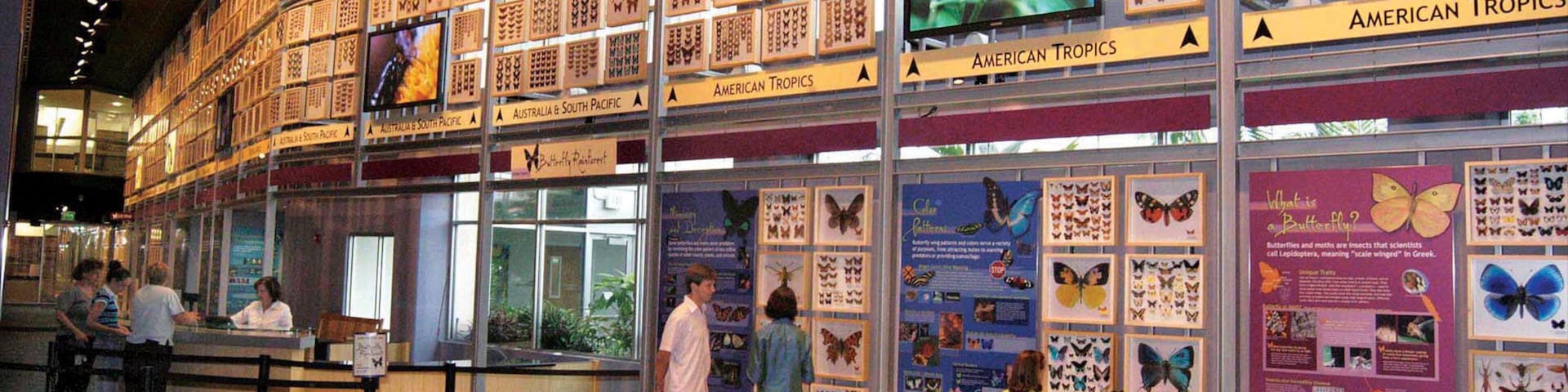 A butterfly exhibit with various species displayed on shelves and informational posters.