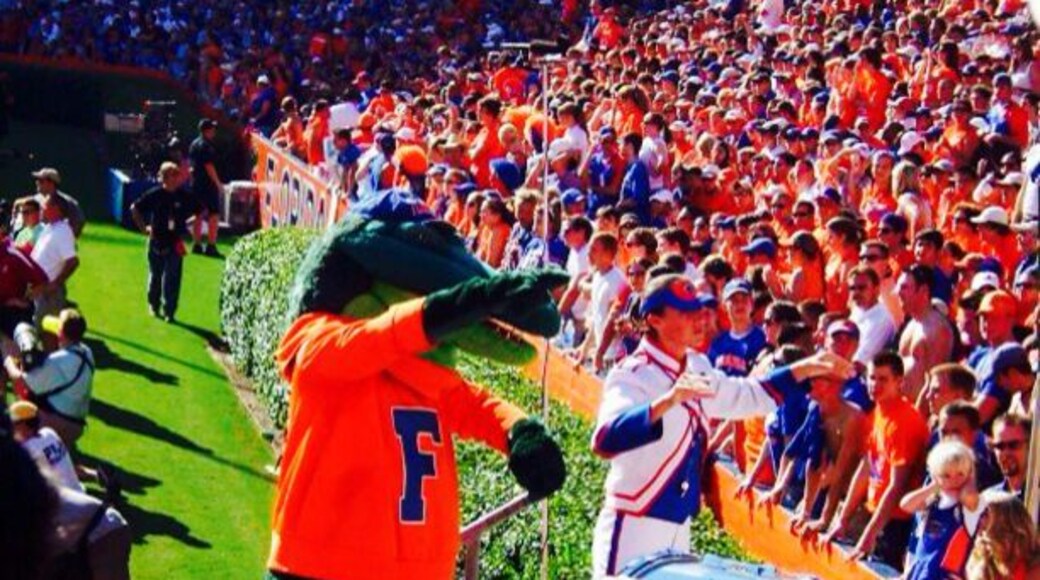 Gator game at Florida Field. That's a lot of orange.