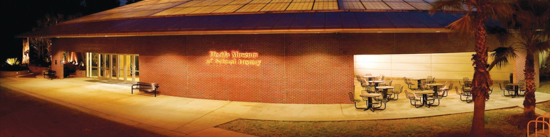 Gainesville which includes night scenes