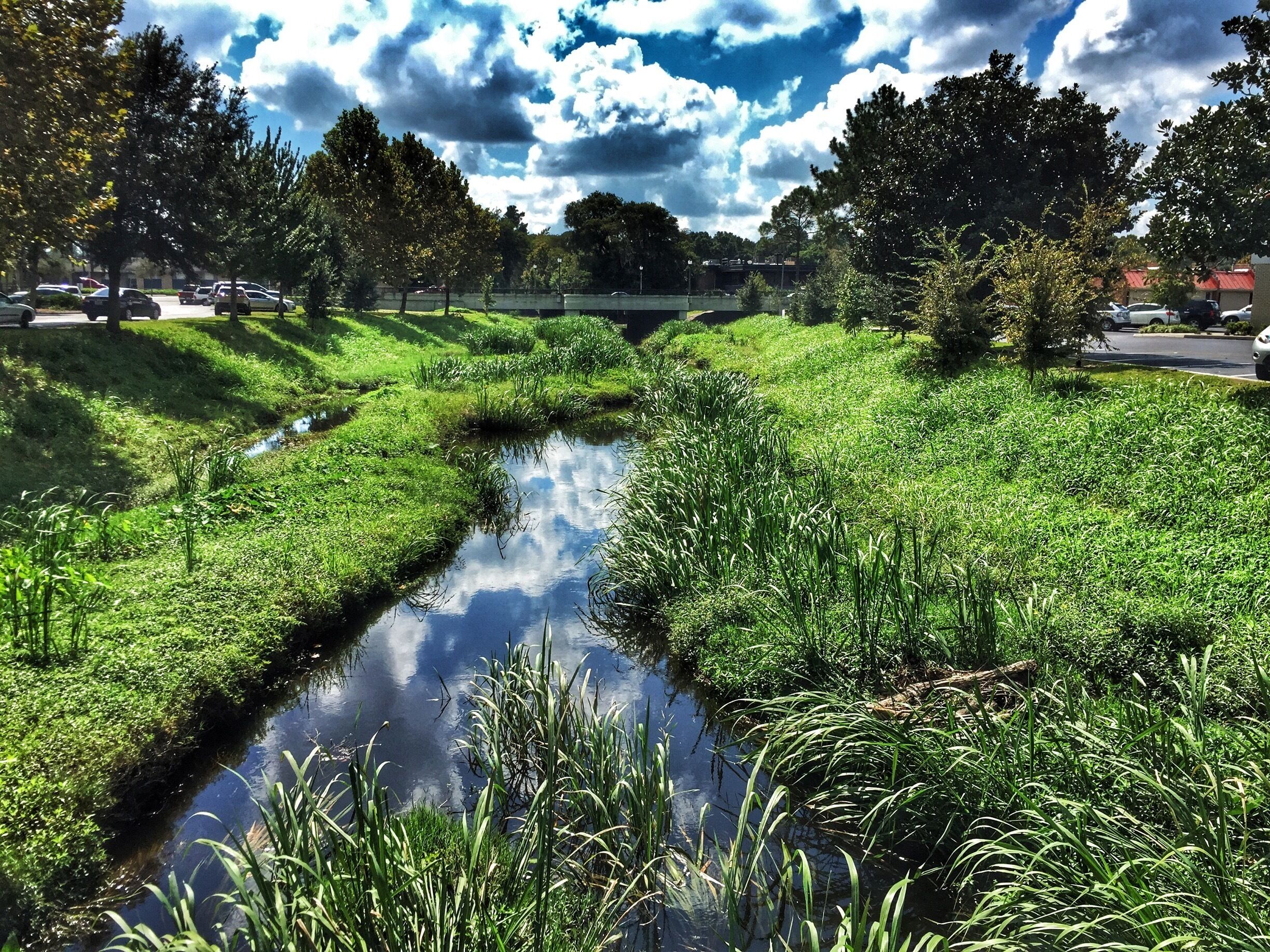 I took this photo while waiting for my car's oil to be changed. It's just a small stream in west Gainesville, FL. 