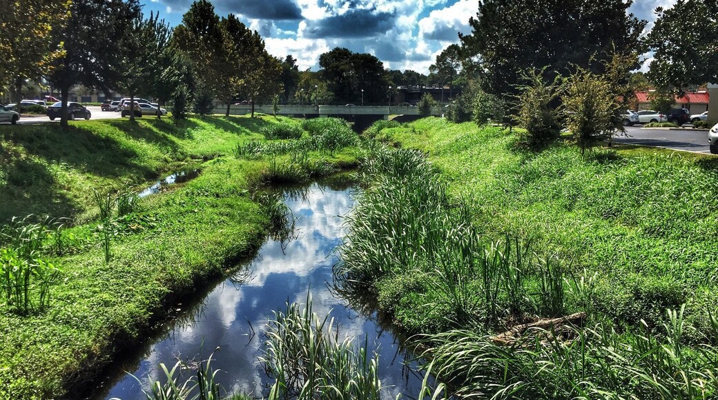I took this photo while waiting for my car's oil to be changed. It's just a small stream in west Gainesville, FL.