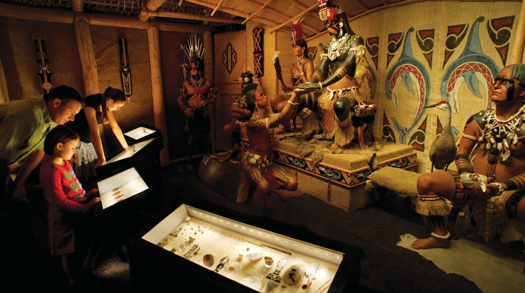 Gainesville mostrando vistas de interior y también una familia