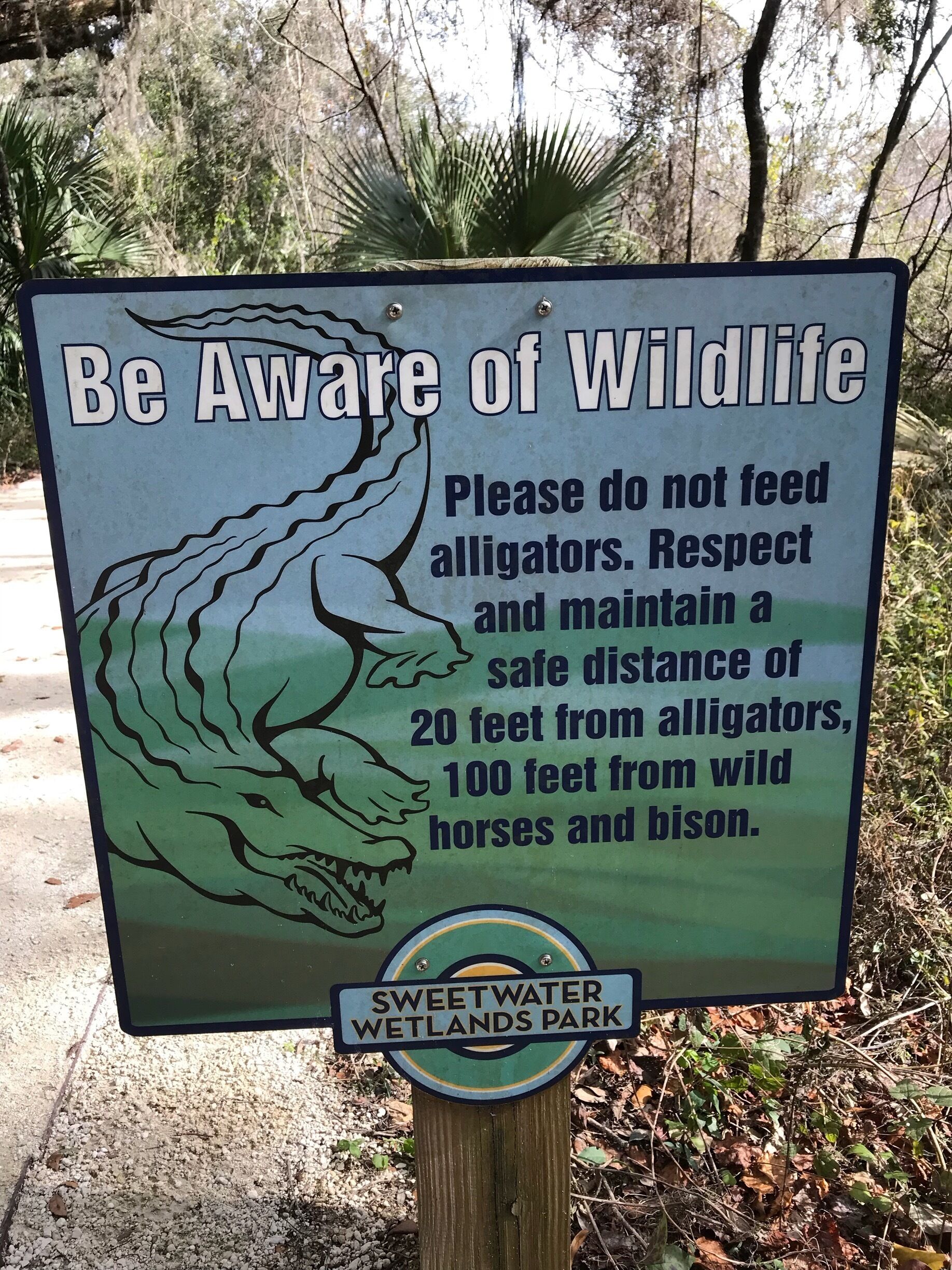 This sign greets visitors to the wetlands. There are many animals (bird species and alligators) to be seen at this prime location for photographers in Gainesville. Make sure you bring some money for parking which will cost $5 for a car but a
visit is definitely worthwhile and can take some time considering the extent of the park. 