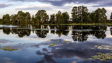 Sunrise over Alligator Lake, Lake City Florida