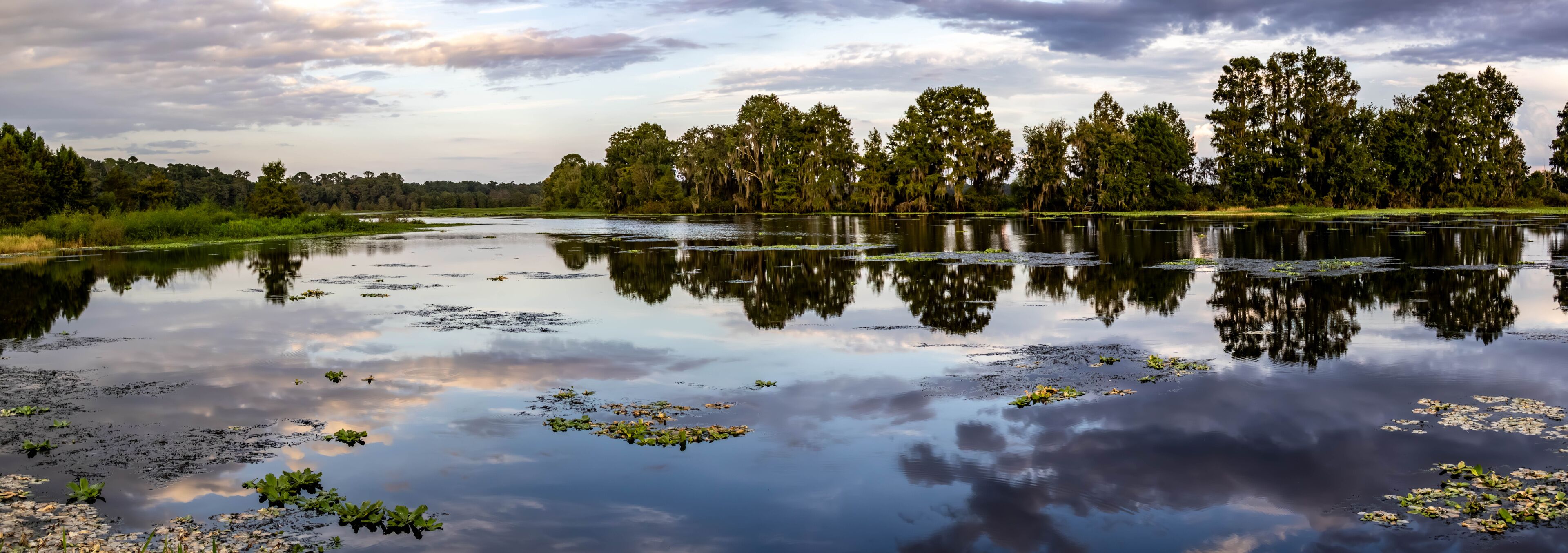 A calm lake with reflections of trees and sky, surrounded by lush greenery.