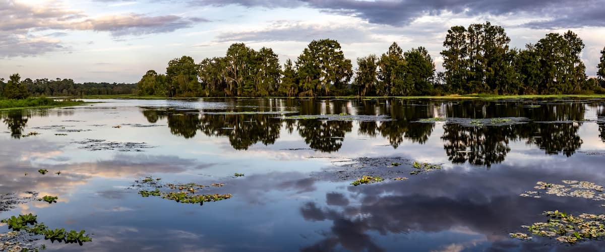 A calm lake with reflections of trees and sky, surrounded by lush greenery.