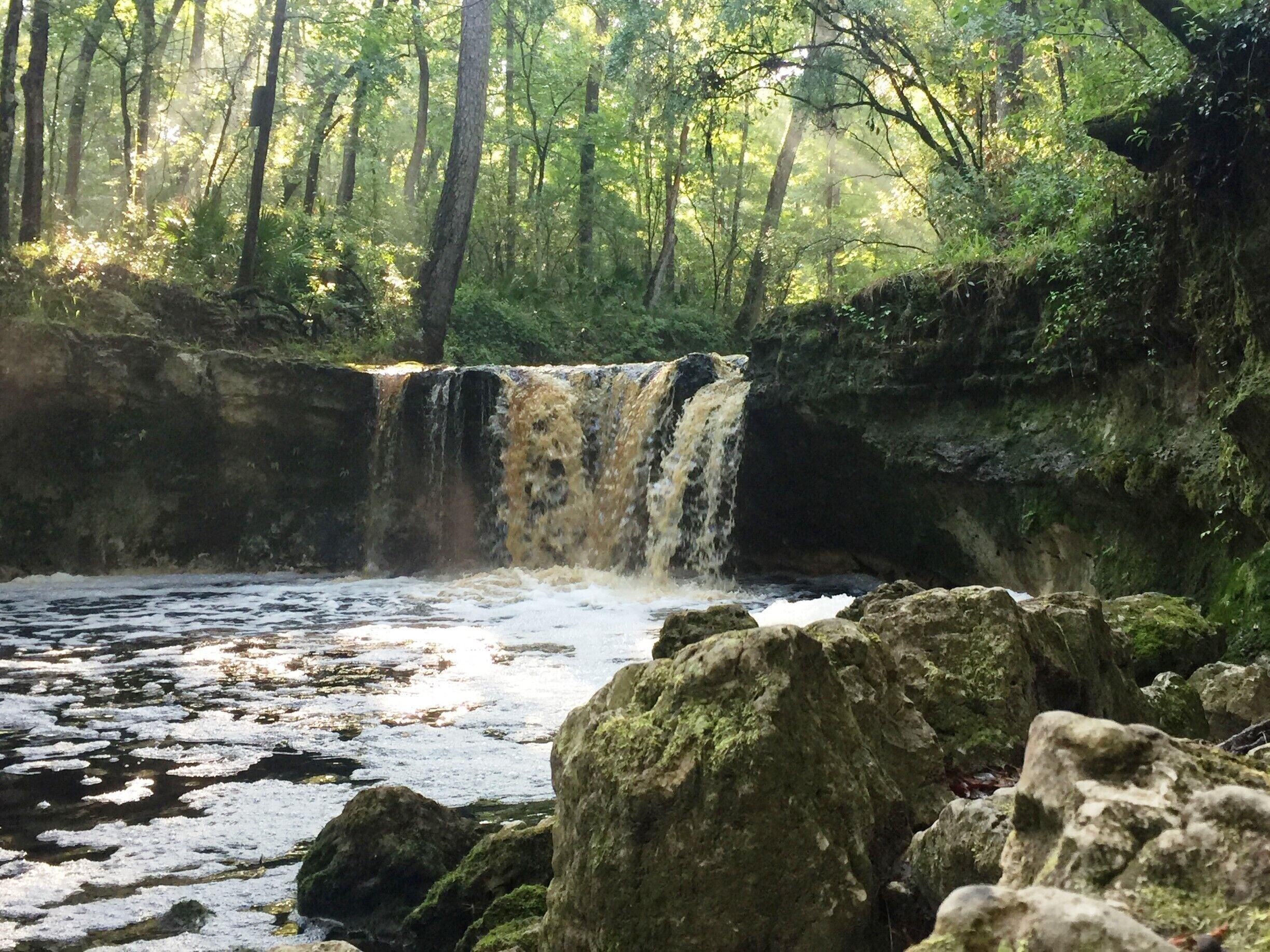 You will not find many waterfalls in Florida. I discovered Falling Creek Falls early one morning near Lake City. Take a quick detour from I-10 to see a root-beer-colored cascade, which plummets more than 10 feet over a deep lip of limestone and flows away over limestone boulders at the bottom of a ravine. Falling Creek Falls was the site of the first settlement in this area, and a short boardwalk trail offers easy access to this scenic view.