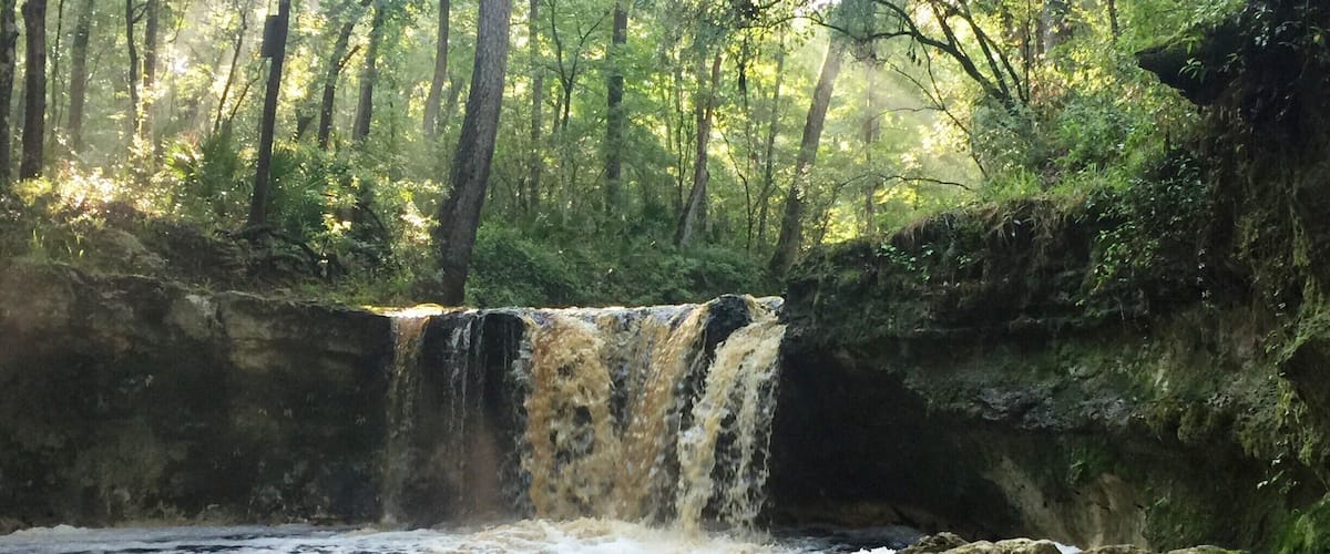 You will not find many waterfalls in Florida. I discovered Falling Creek Falls early one morning near Lake City. Take a quick detour from I-10 to see a root-beer-colored cascade, which plummets more than 10 feet over a deep lip of limestone and flows away over limestone boulders at the bottom of a ravine. Falling Creek Falls was the site of the first settlement in this area, and a short boardwalk trail offers easy access to this scenic view.