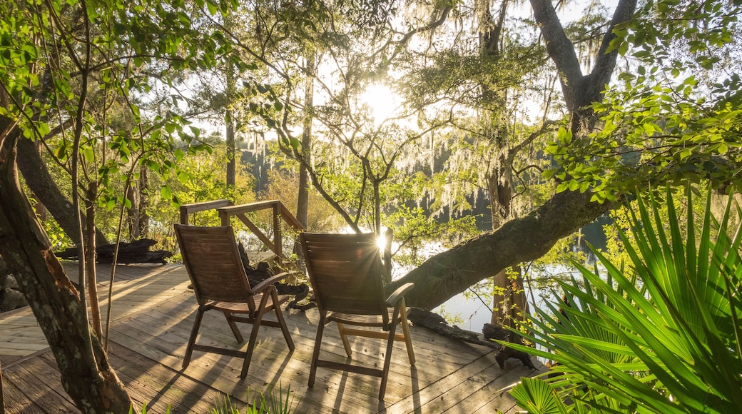 Deck chairs on scenic Suwannee river deck overlook. Gilchrist County Florida