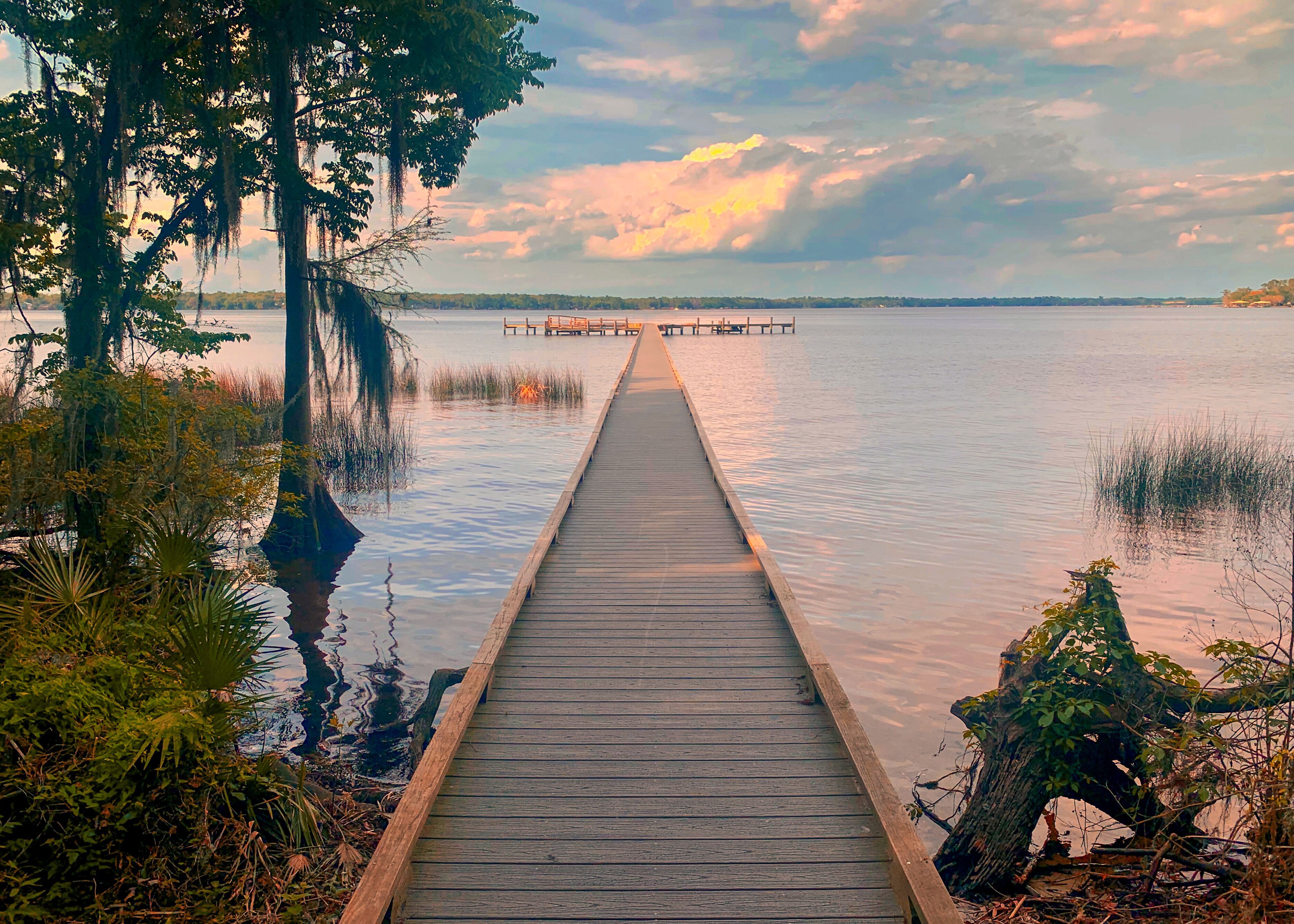 Long Wooden Pier Stretching Far Into A Lazy River In The Southern USA