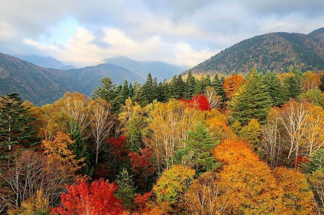 Autumn in Japan alps 