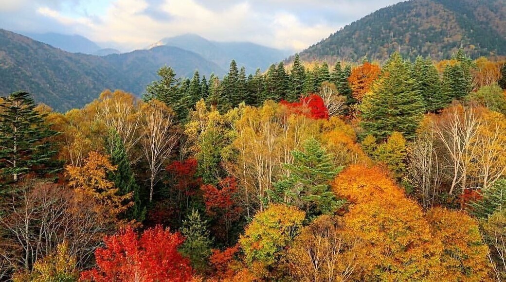 Autumn in Japan alps