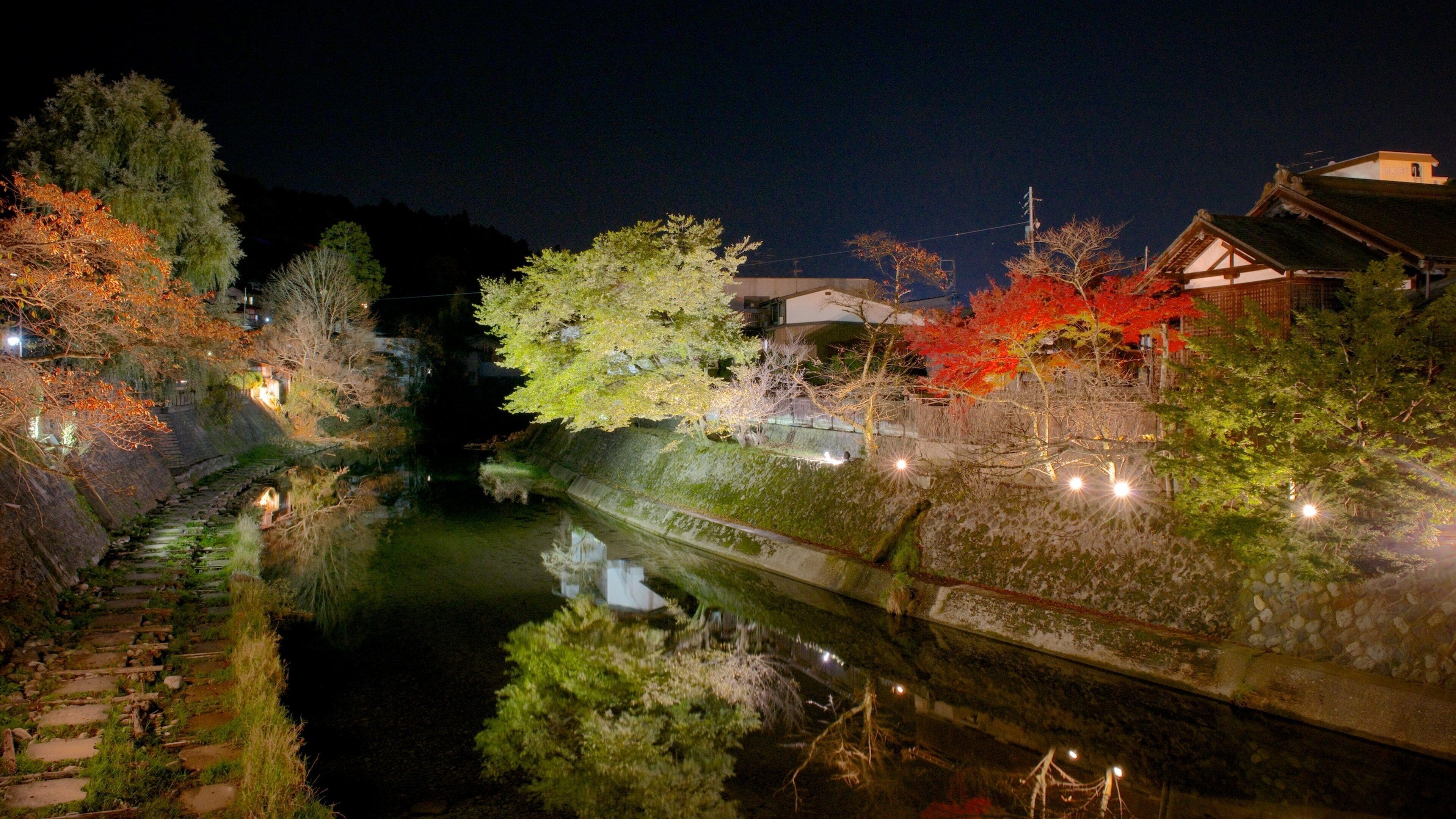 A nighttime riverside scene with illuminated trees and traditional architecture.