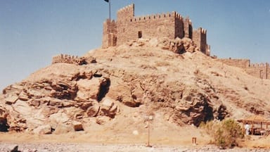 Um castelo numa colina rochosa com uma bandeira.