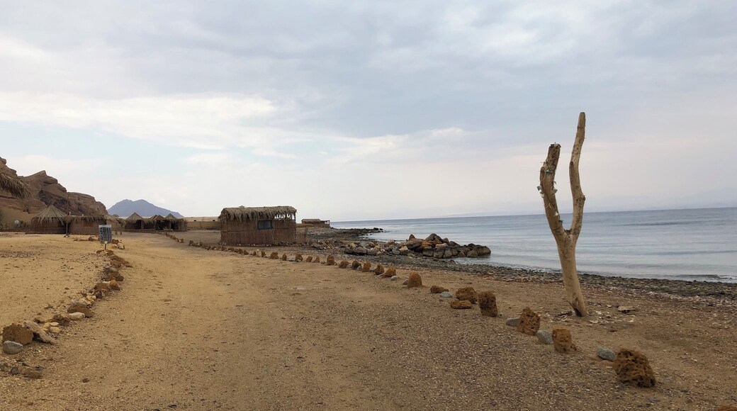 Nuweibaa/ sinai/Egypt