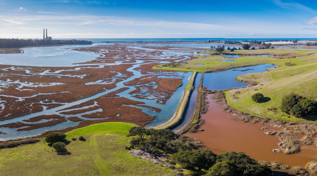 Aerial Panoramic View of Elkhorn Slough, Moss Landing, California. Elkhorn Slough is a 7-mile-long tidal slough and estuary on Monterey Bay in Monterey County, California.